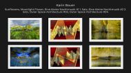 Ausstellung ESE Galerie 04